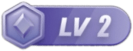 等级-LV2-新澳国际